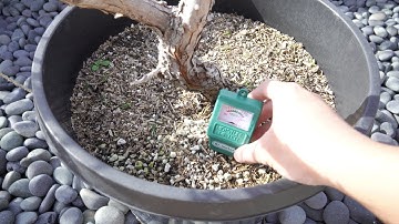 Dr. Meter Soil Moisture Meter 🚿 Unboxed & Explained 🌱 [ASMR]