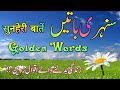 Golden Words Sunheri Batein स नह र ब त سنہری باتیں اقوال زرین