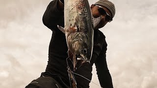 * SHORE JIGGING ITALY * Alletterati e un tonno mostruoso in caccia..🔥🔥