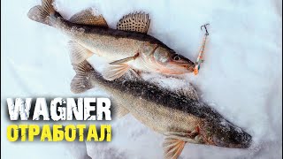 видео: Wagner Поймал Два Судака за Две Минуты картинка: Wagner Поймал Два Судака за Две Минуты