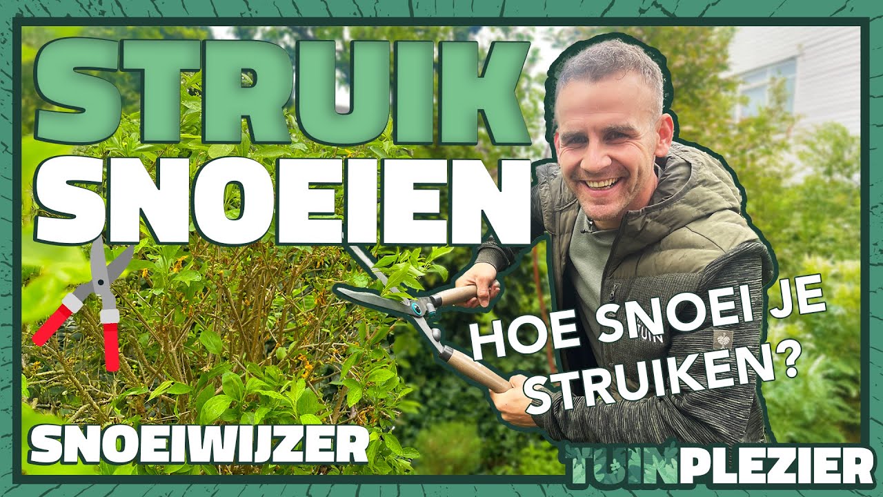 Hoe snoei je STRUIKEN zonder ze te verpesten? ✂️ 5 Essentiële Tips! | Tuinplezier 🪴
