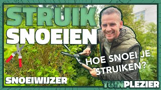 Hoe Snoei Je Struiken Zonder Ze Te Verpesten? 5 Essentiële Tips Tuinplezier