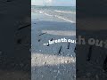 Breathe with the waves…
