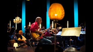 Larry Carlton - Mellow out | SWR Big Band
