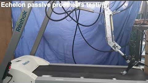 Development of a Gait Simulator for Testing Lower Limb Prostheses