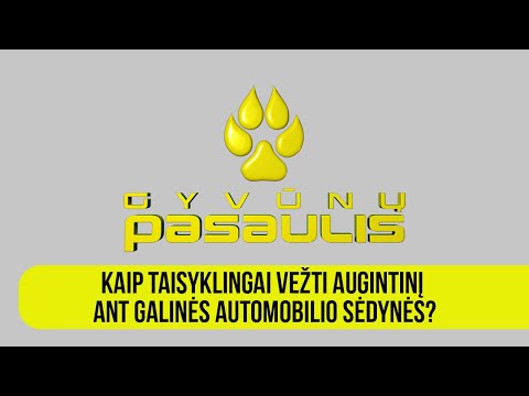 Video: Kaip Sužinoti, Ar Jūsų Augintiniui Reikia Skrodimo (o Kas Vis Dėlto Yra Skrodimas?)