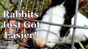 Automated Rabbit Watering System - Never Fill Water Bottles Again!
