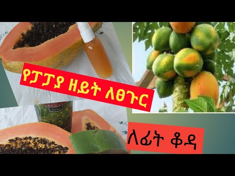 ቪዲዮ: የፒች ዛፍ ስፕሬይ - የፒች ዛፎችን ለትልች መቼ እንደሚረጭ