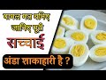 अंडा शाकाहारी या मांसाहारी || Egg Veg or Nonveg in Hindi