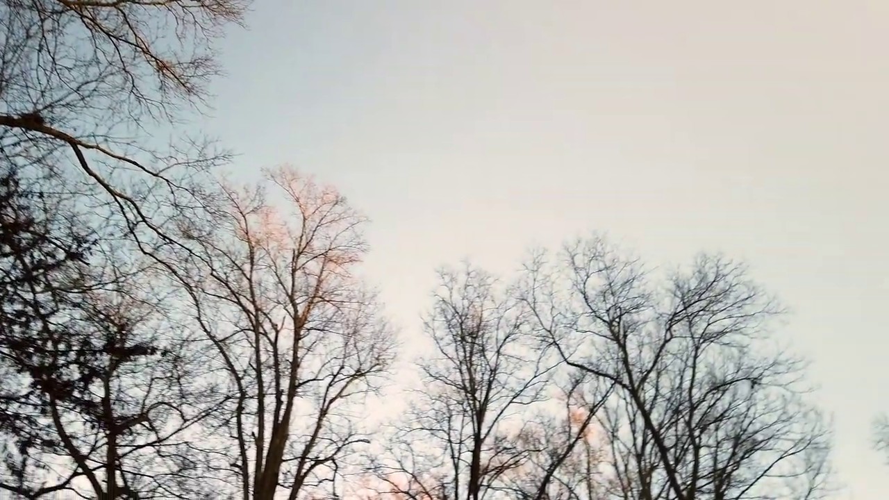 Walk through Lullwater at Emory University