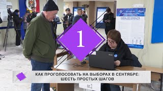 Как проголосовать на выборах в сентябре шесть простых шагов