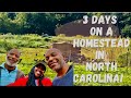 3 Days On A HomeStead In North Carolina!