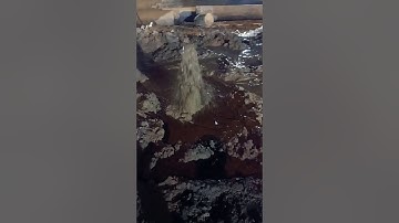 Phan Vũ - Khoan hạ Basic