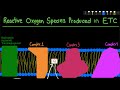 Reactive oxygen species formation in the mitochondria and defence mechanism  biochemistry