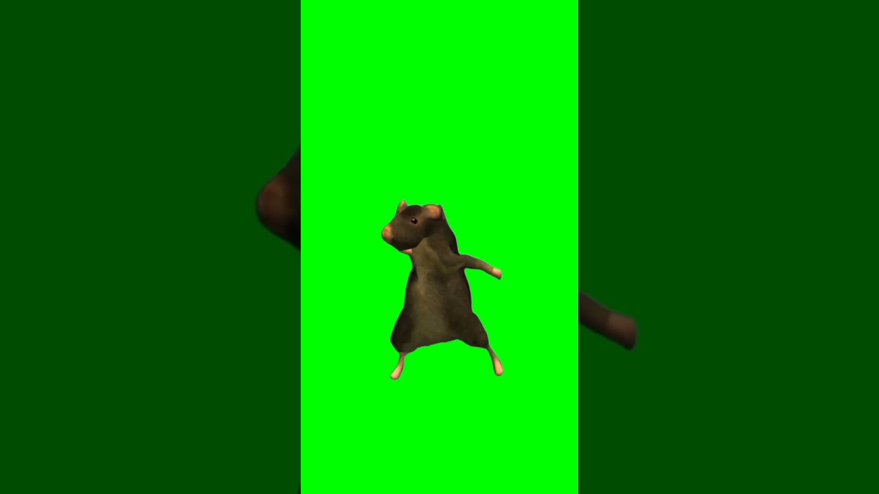 Dancing Mouse Fyp Dance