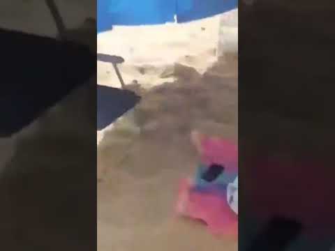 تخلطت في تيبازة