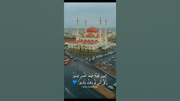 القارئ طارق محمد /قرآن كريم/تلاوة عطرة/ مقاطع قصيرة/ حالات واتساب