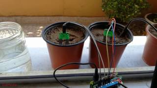 Experimenting with ANAVI Soil Moisture Sensor on Raspberry Pi