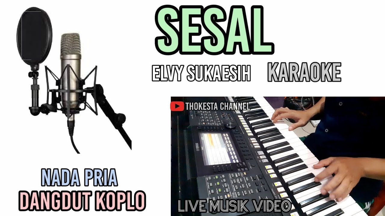 SESAL ELVY SUKAESIH KARAOKE DANGDUT KOPLO NADA PRIA