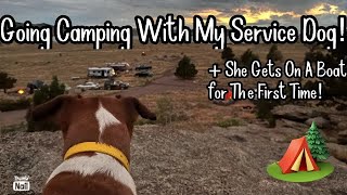 Taking My Service Dog Camping!
