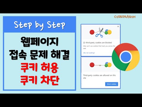 웹페이지 접속 문제 해결하기 - Cookie 쿠키 허용 / 차단