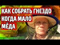 Как собрать гнездо когда мало меда Полезные советы Сборка гнезда пчел на зиму