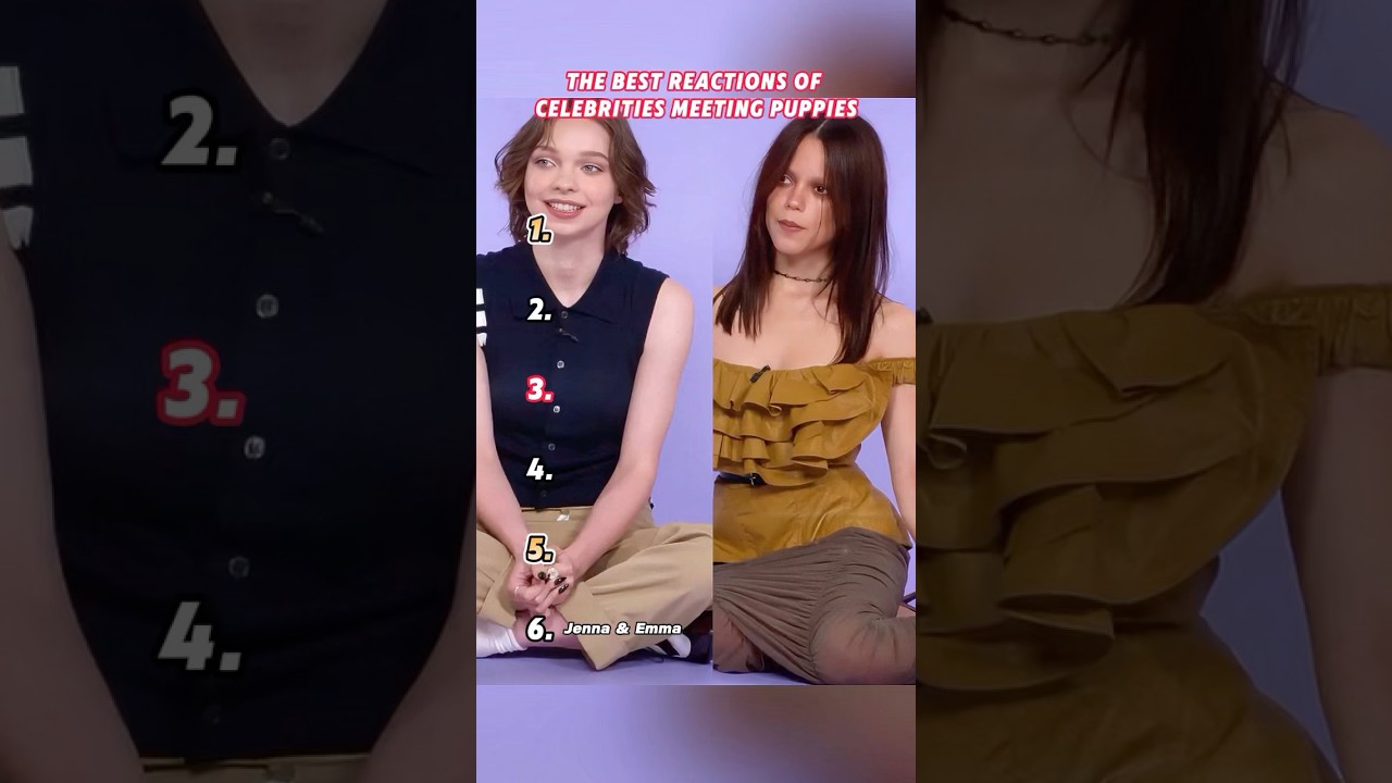 The best reactions of celebrities meeting puppies 