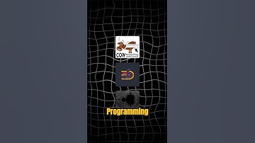 The 3 Weirdest Programming Languages Ever! #code #language #programming #funfacts #cow #shorts