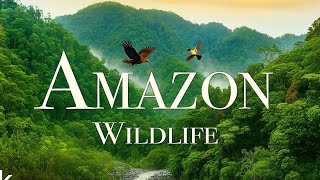 Unseen Amazon Secrets: What the Jungle Hides Will Shock You! @discovery @NatGeo 