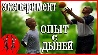 Как взорвать Дыню? Это вам не арбуз! #Опыт с ДЫНЕЙ на канале #ДУЭЛЯНТ 🔫. #Дыня как #орех. Как взорвать Дыню? Это вам не арбуз! #Опыт с ДЫНЕЙ на канале #ДУЭЛЯНТ 🔫. #Дыня как #орех.