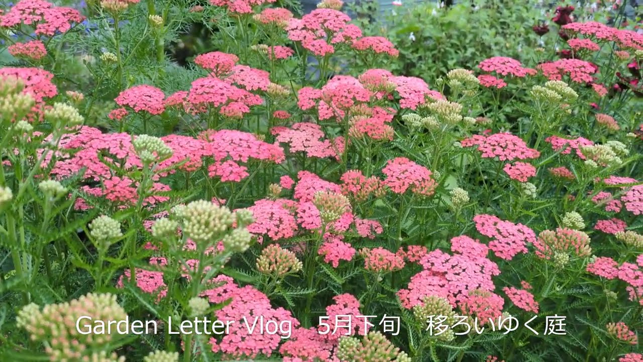 Garden Letter Vlog 3