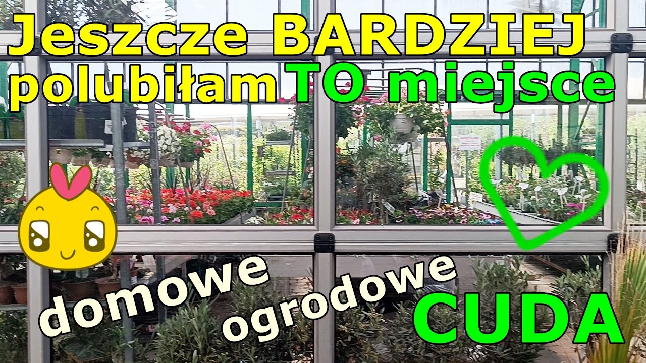 Jestem!💚 Ogród Śląski * rośliny domowe i uwaga NOWA miłość: OGRODOWE! 💚💚💚wyprawa roślinna 💚