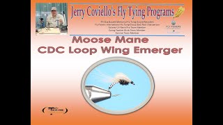 Moose Mane CDC Loop Wing Emerger