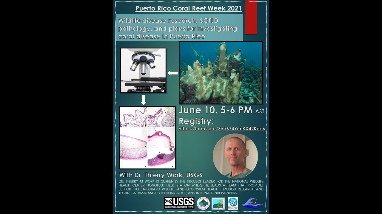 Webinar: Wildlife disease research and SCTLD pathology with Dr. Thierry Work