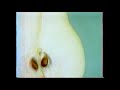 Publicité 1994 Bio Danone Des Fruits Publicité 1994 Bio Danone Des Fruits