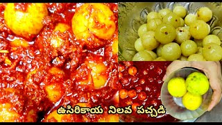 ఉసిరికాయ పచ్చడి నిమ్మ రసం తో ఇలా ఒకసారి ట్రై చెయ్యండి. | Amla Pickle | Usirikaya Nilava Pachadi