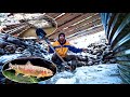Building NEW UNIQUE FISH POND STRUCTURE - 10,000+ Rocks, Sunken Log Jam, Super Deep