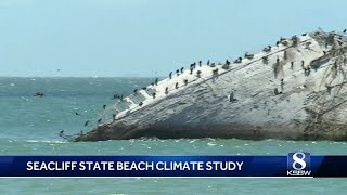 Seacliff Pier may not be rebuilt because of rising sea levels