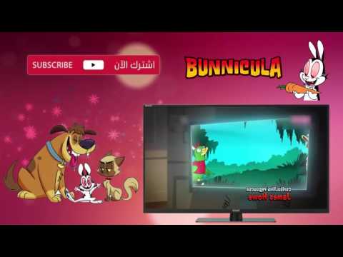 بانيكولا الحلقة الرابعة دموع التماسيح