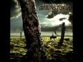 Brainstorm - Shiver