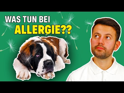 Video: Behandlung von Allergien bei Hunden