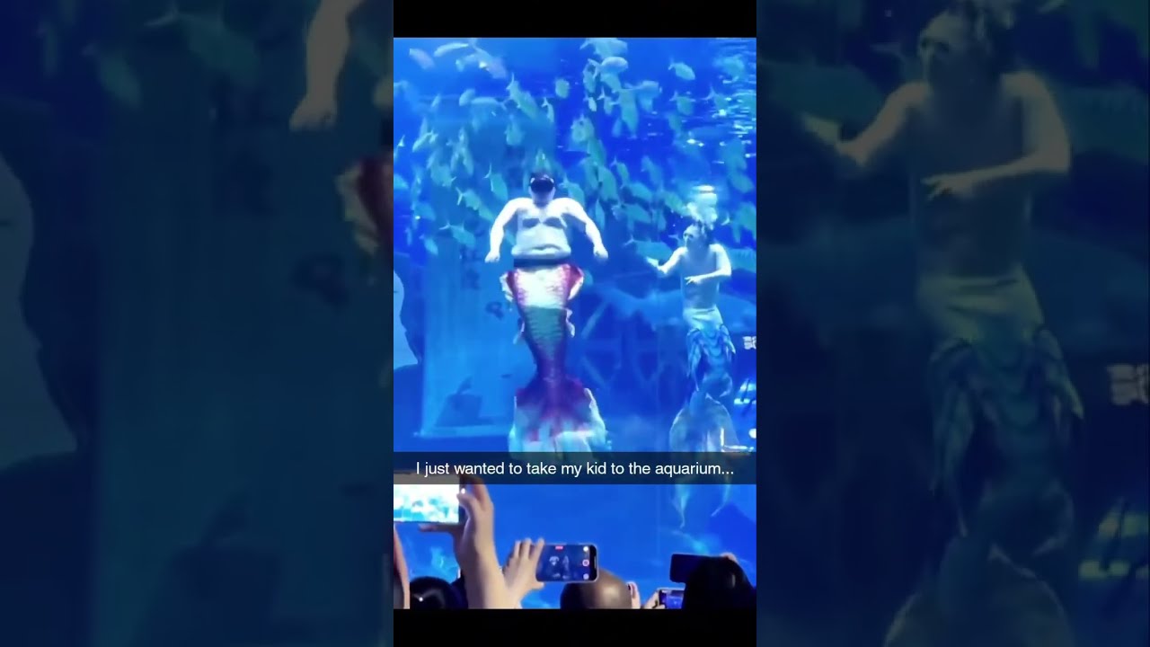 Bro Next To Him Struggling Cuereaves Comedyshorts Funnyshorts Comedy Aquarium Teamwork Tv