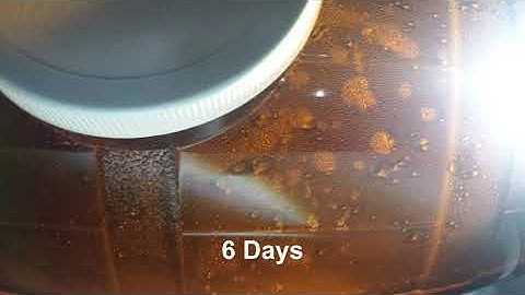 Beer Brewing Part 2:  The Bottling Process