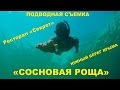 Отель "Сосновая Роща" / Подводная съемка / Мисхор / Гаспра / Ялта / Крым 2016