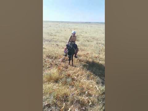 Мини пека 😂 - YouTube