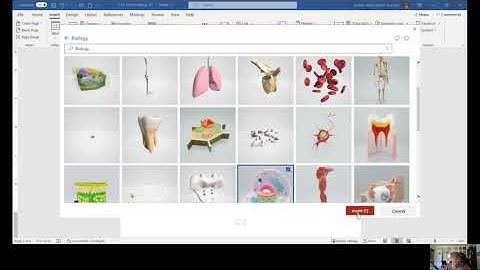 3D Models Microsoft Word
