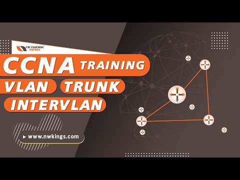 CCNA Training | VLAN | TRUNK | Intervlan | Network Kings