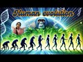 Human evolution (btw we were not monkeys before)