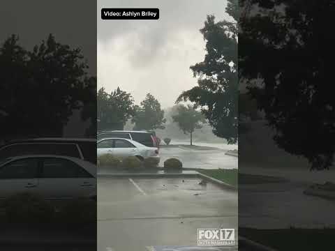 WILD VIDEO: Possible