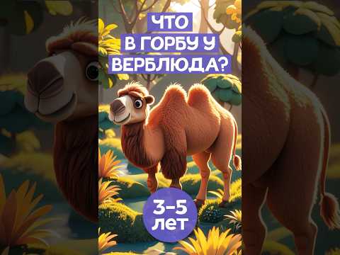 Что в 🐪 горбу верблюда? #правдаилиложь #сказкинаночь #детямнравится #пустыня #шортсдети #длядетей